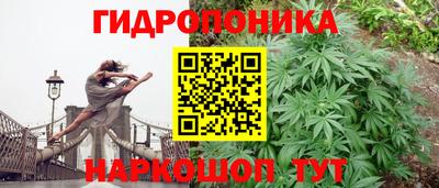 каннабис Берёзовский