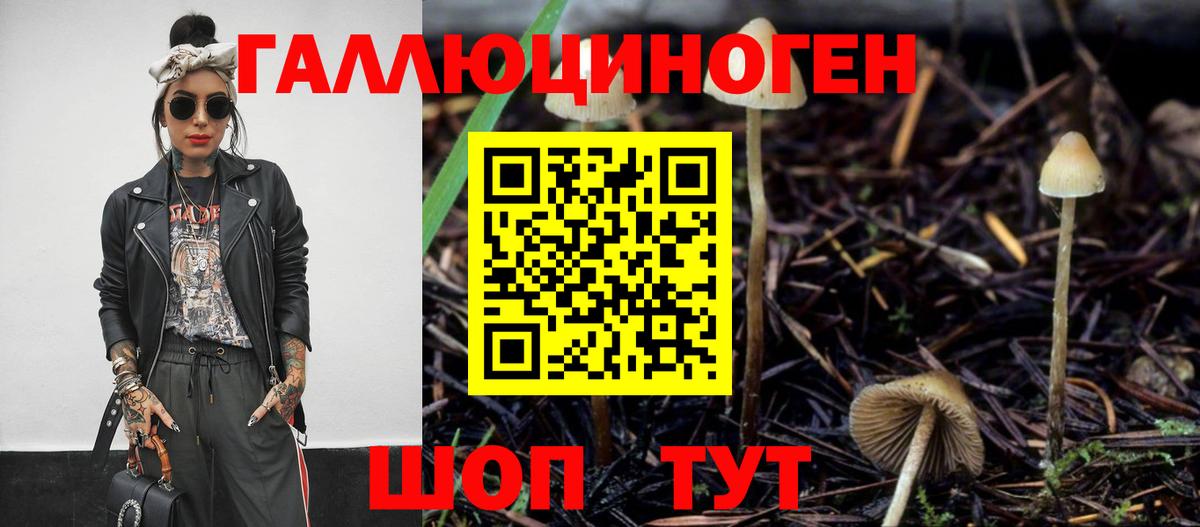 Псилоцибиновые грибы MAGIC MUSHROOMS Ишим