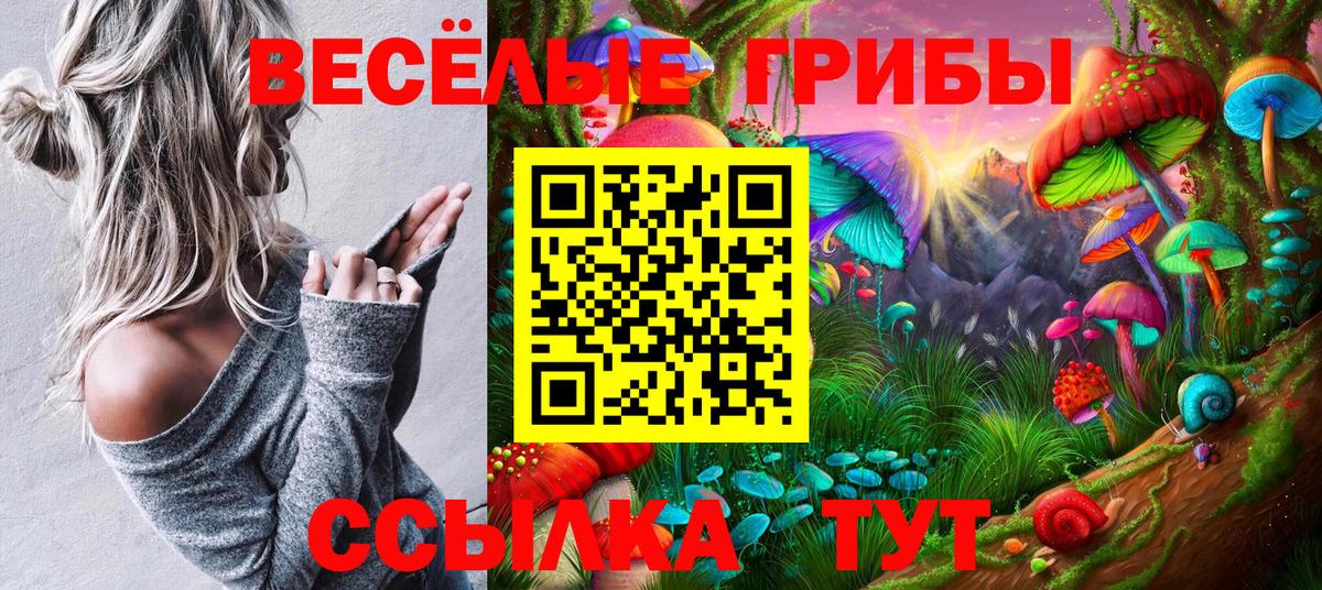 Галлюциногенные грибы Psilocybine cubensis  Вход с VPN  Ишим 