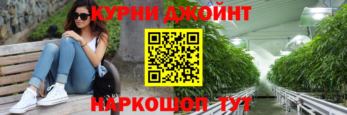 Конопля сатива Ишим